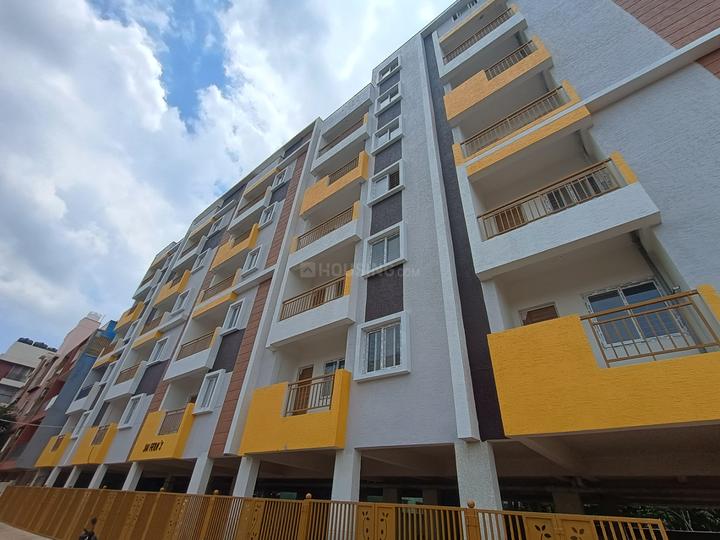 Sai ferns Main Image 1