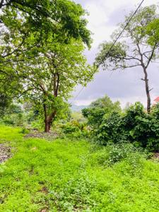 Image of 63000 Sq.ft Residential Plot / Land for sale in Khandala, Lonavala for Rs. 240000000