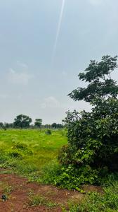 Image of 6000 Sq.ft Residential Plot / Land for sale in Paridhi Nidhivan Farm, Tatibandh, Raipur for Rs. 2850000