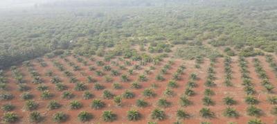 Image of 120 Sq.ft Residential Plot / Land for sale in Narayankhed, Sangareddy for Rs. 450000