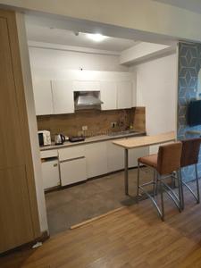 Kitchen Image of 506 Sq.ft 1 BHK Apartment / Flat for sale in Nimbus The Golden Palms, Sector 168 Noida for Rs. 6400000