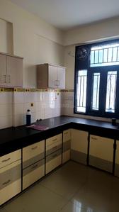 Kitchen Image of 1200 Sq.ft 2 BHK Apartment / Flat for rent in Coral Celebration, Hanuman Nagar Jaipur for Rs. 25000