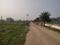 Dkrrish Green Beauty Farms Internal Roads 2