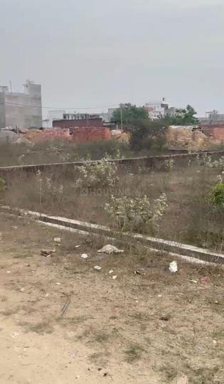 Lolai Main Image 1