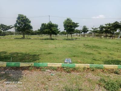 Sondekoppa Plot View 1