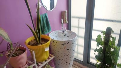 Image of 1246 Sq.ft 2 BHK Apartment / Flat for sale in Gaursons Grandeur, Sector 119, Noida for Rs. 14300000