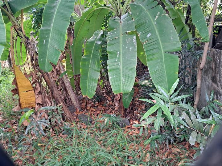 Keralarealty Main Image 1