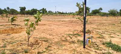 Image of 11104 Sq.ft Residential Plot / Land for sale in Sooriyur, Tiruchirappalli for Rs. 1765377