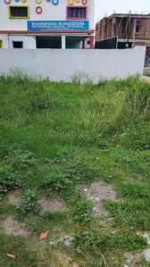 Ranipokhari Plot View 2