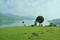 Panshet Pune Main Image 1