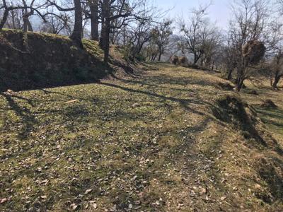 Image of 10800 Sq.ft Residential Plot / Land for sale in Pandeykhola, Almora for Rs. 1000000