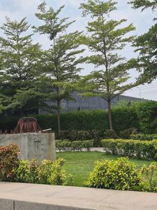 Image of 1500 Sq.ft Residential Plot / Land for sale in Armada Oscar Pride, Umrikheda, Indore for Rs. 16500000