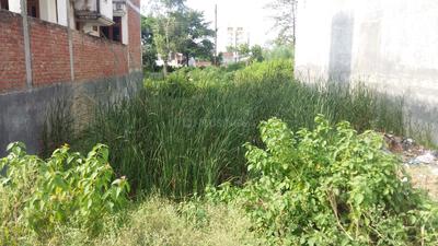 Sigra Plot View 2