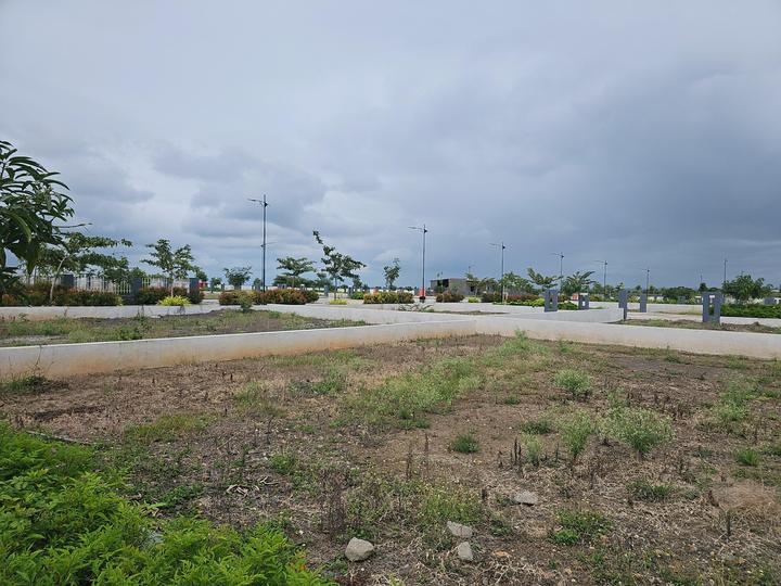 Uruli Kanchan Main Image 1