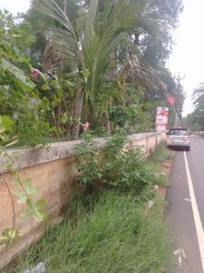 Kottekkad Plot View 3