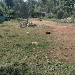 Image of 1214 Sq.ft Residential Plot / Land for sale in Koliyakode, Thiruvananthapuram for Rs. 7500000