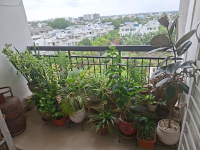 Balcony Image of 1200 Sq.ft 2 BHK Apartment / Flat for rent in Manish Nagar Nagpur for Rs. 20000