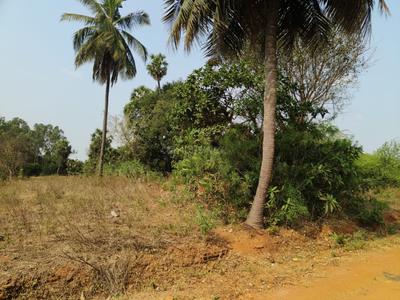 Image of 8284 Sq.ft Residential Plot / Land for sale in Thiruporur, Chennai for Rs. 13254400