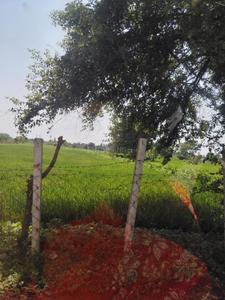 Image of 1500 Sq.ft Residential Plot / Land for sale in Jevra Sirsa, Durg for Rs. 1500000