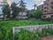 Lokhra Plot View 2