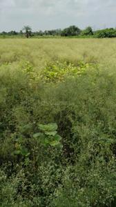 nill Plot View 2