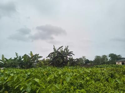 Image of 2160 Sq.ft Residential Plot / Land for sale in Joy Mangla, Nalbari for Rs. 2600000