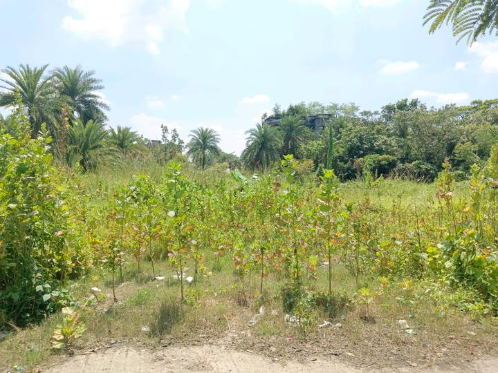 Paikpara Main Image 1