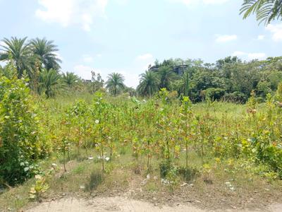 Image of 1460 Sq.ft Residential Plot / Land for sale in Budge Budge, Kolkata for Rs. 1600000