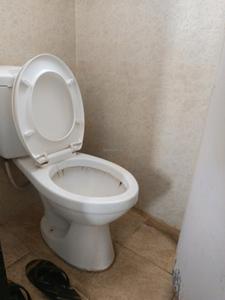 Common Bathroom Image of 505 Sq.ft 1 BHK Apartment / Flat for rent in Arihant Green City, Santoshi Mata Nagar Pune for Rs. 14500