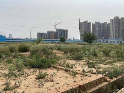 Sushant Lok 2 Plot View 1