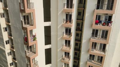 Balcony Image of 585 Sq.ft 1 BHK Apartment / Flat for rent in Amrapali Dream Valley 2, Noida Extension Greater Noida for Rs. 21000