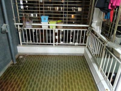 Balcony Image of 1050 Sq.ft 2 BHK Apartment / Flat for rent in Pristine Green, Moshi Pune for Rs. 25000
