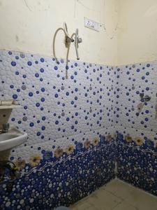 Common Bathroom Image of 800 Sq.ft 2 BHK Apartment / Flat for rent in  C6a Jankpuri, Janakpuri New Delhi for Rs. 21000