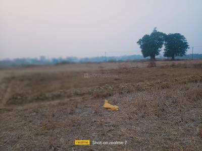Singh More Plot View 3