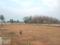 Owner plots Plot View 2