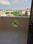 Balcony Image of Pg in Sector 56, Gurgaon