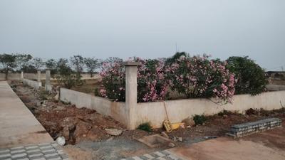 Image of 1500 Sq.ft Residential Plot / Land for sale in Pacheda 1, Raipur for Rs. 1500000