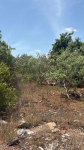 Kangeyampalyam Plot View 3