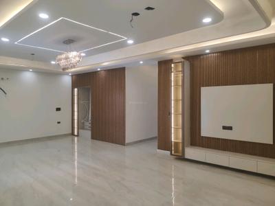 Living Room Image of 2564 Sq.ft 4 BHK Builder Floor for sale in Green Field Colony Faridabad for Rs. 26000000