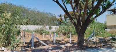 Image of 1200 Sq.ft Residential Plot / Land for sale in Mailasandra, Bengaluru for Rs. 16000000