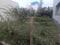 Amaravati layout Bangarpet Plot View 2