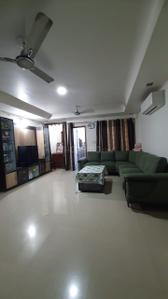 Hall Image of 850 Sq.ft 2 BHK Apartment / Flat for rent in New Alkapuri Vadodara for Rs. 21000