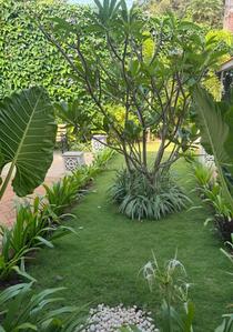 Balcony Image of 4800 Sq.ft 4 BHK Independent House for sale in Verla Canca Goa for Rs. 157500000