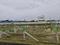 Vandalur Plot View 2