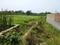 Sonargaon 2 Plot View 2