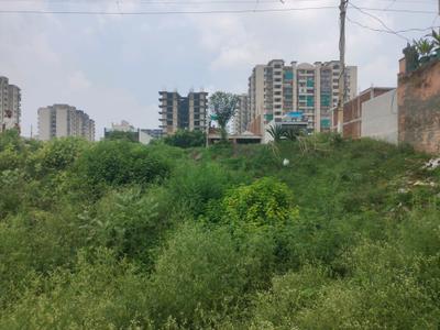 Residential Plot