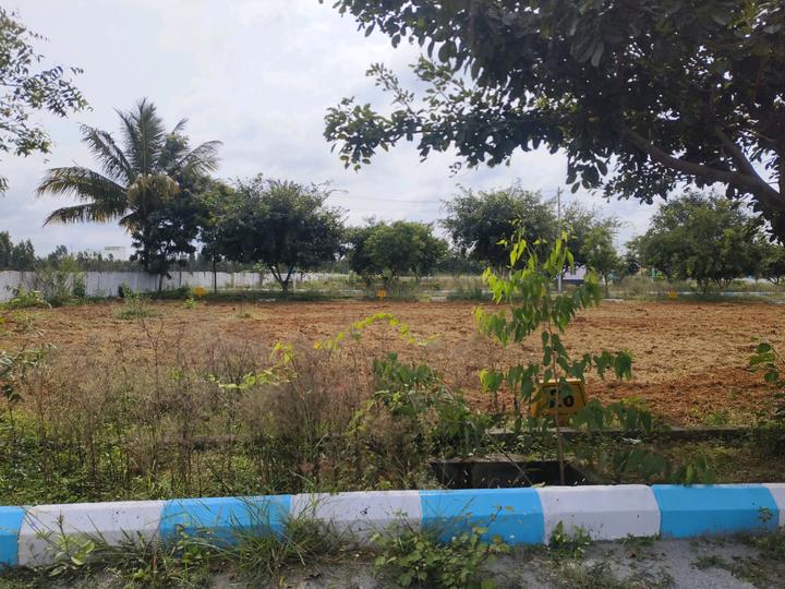 Srushti Silver Woods Main Image 1