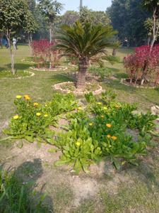 Image of 200 Sq.ft Residential Plot / Land for sale in Sector 47, Noida for Rs. 70000000