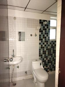 Common Bathroom Image of 1055 Sq.ft 2 BHK Apartment / Flat for sale in Divyansh Flora, Noida Extension Greater Noida for Rs. 8000000
