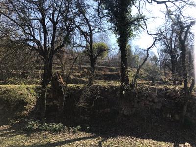 Image of 10800 Sq.ft Residential Plot / Land for sale in Pandeykhola, Almora for Rs. 1000000